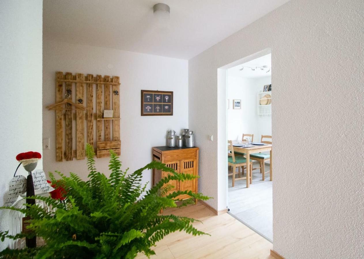 Schoene Und Helle Ferienwohnung In Pfaffenweiler 빌린겐슈베닝겐 외부 사진